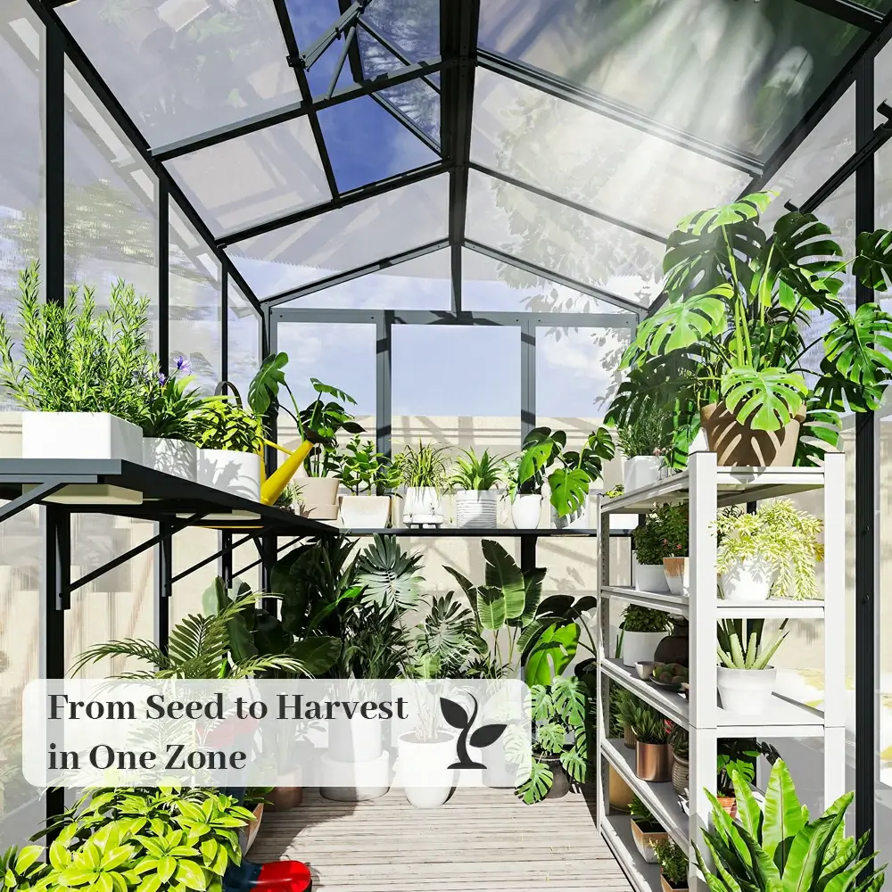 Polycarbonate Greenhouse - Image 14
